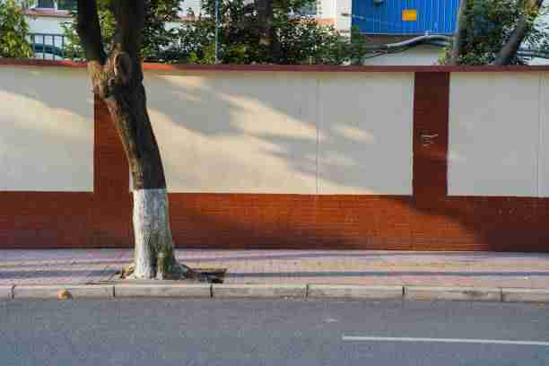 持续追踪:91网大事件总结,全程画面还原
