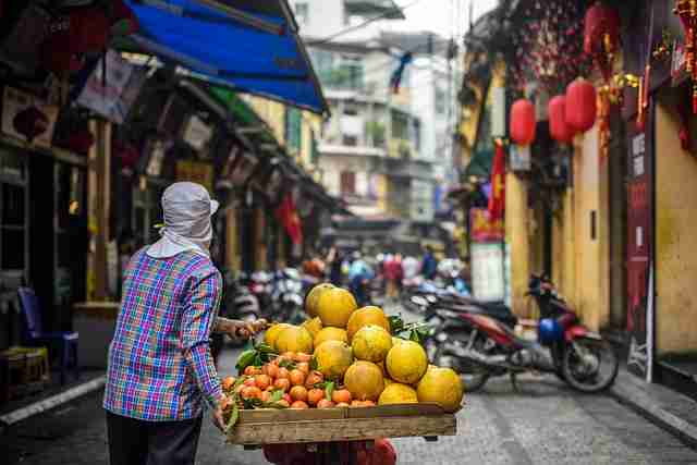 惊人操作:蘑菇视频直播突发掉线,官方紧急处理